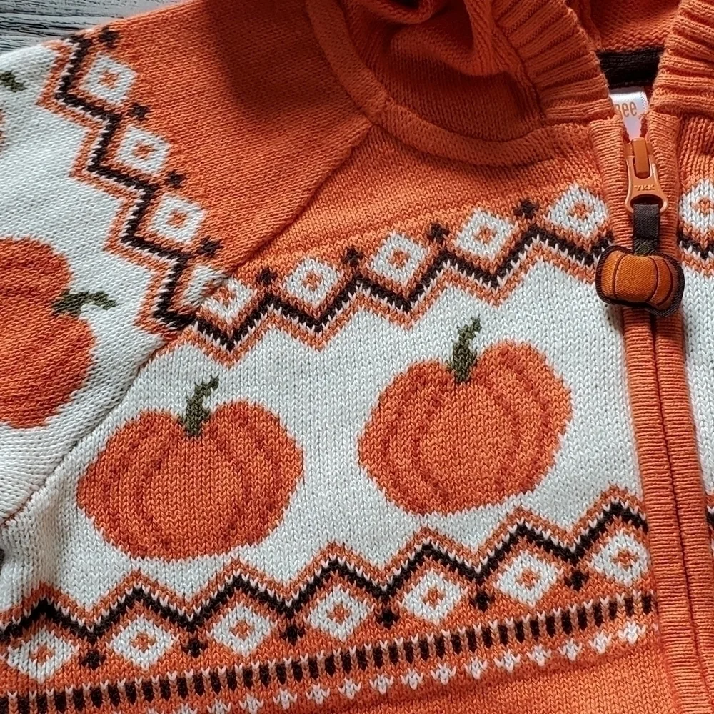 Gymboree Orange Pumpkin Sweater Lil's Pumpkin Collection Hooded Zip Up Sweater